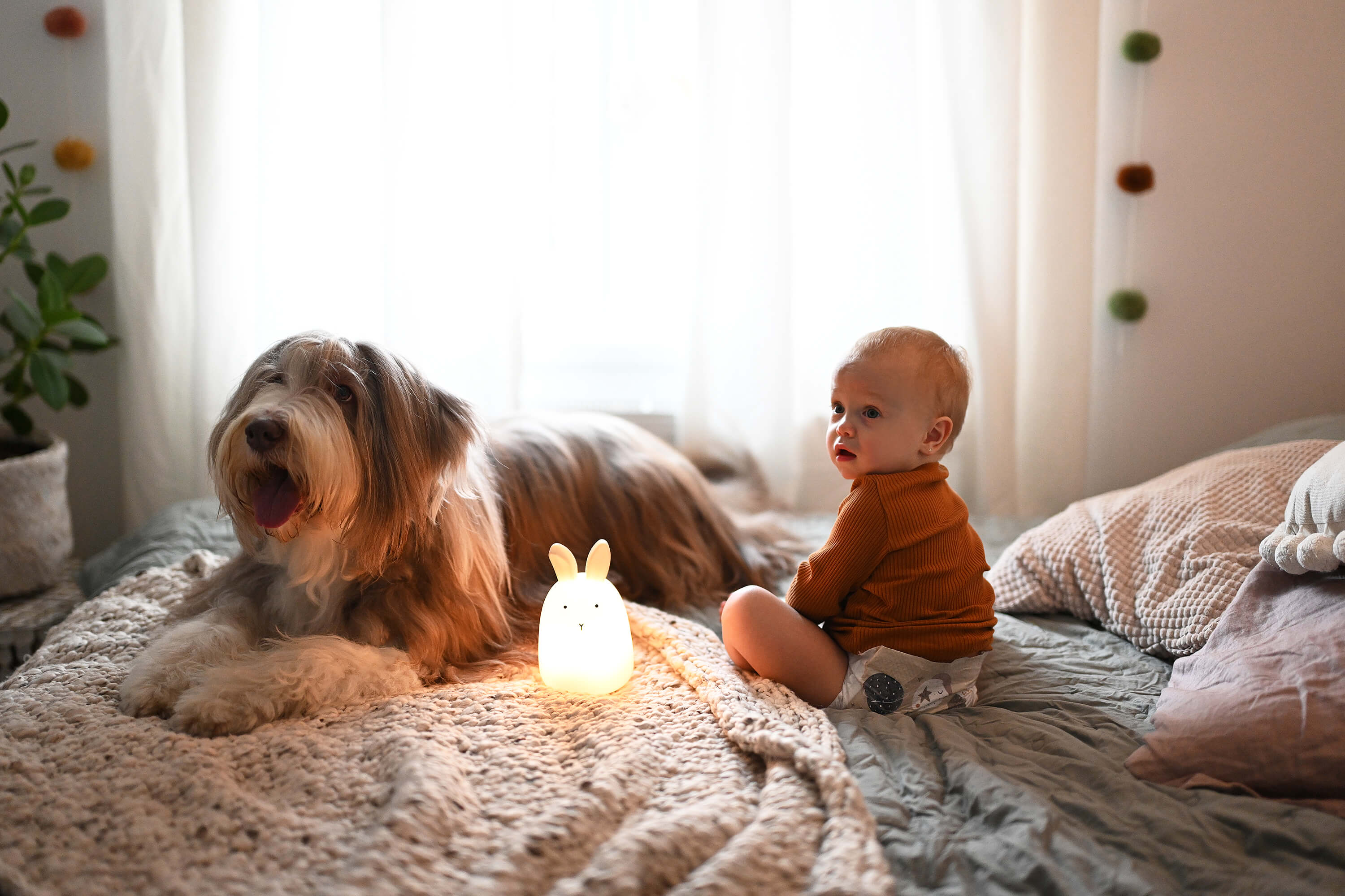 NIGHT MOMENTS Universe