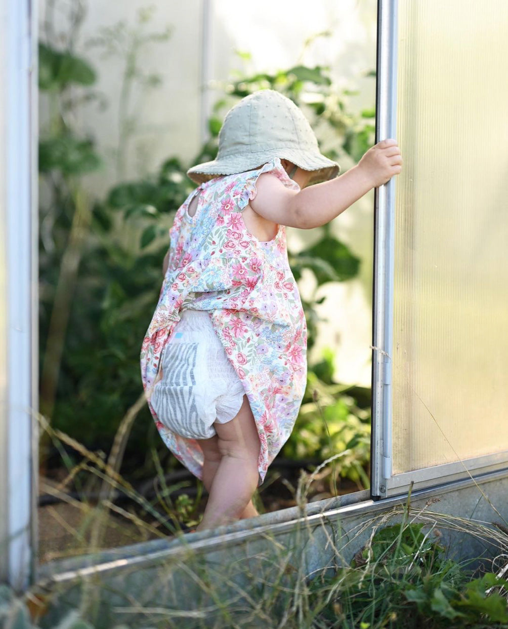 DELUXE VELVET PANTS Wild