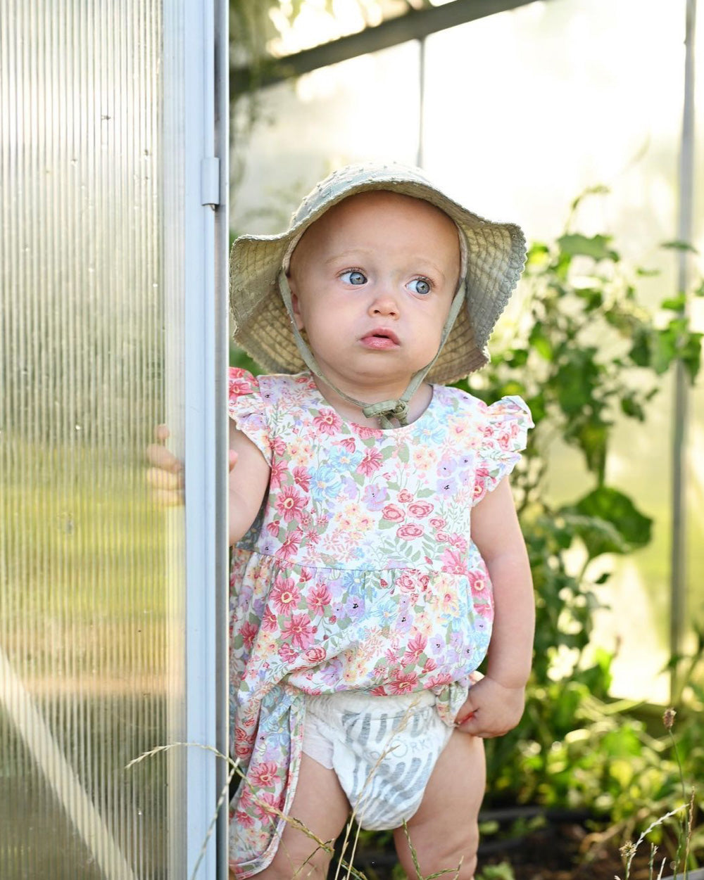 DELUXE VELVET PANTS Wild