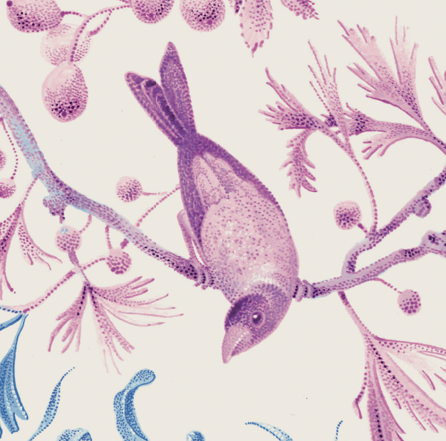 Dobrý plakát – Zrození #2